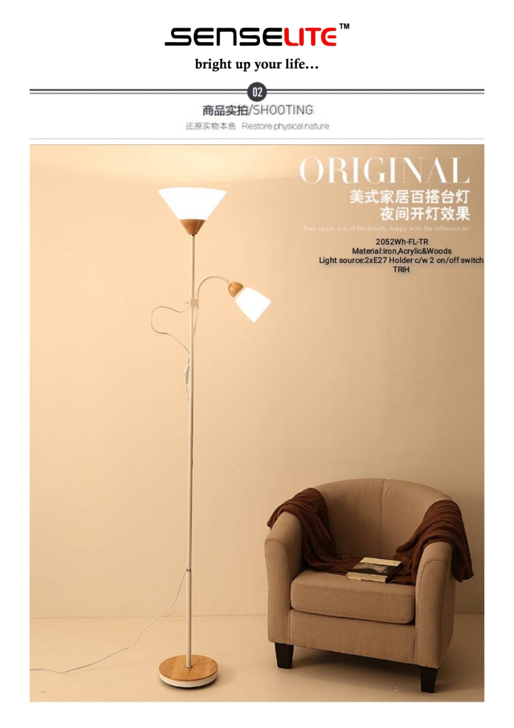 Floor Lamp Modern